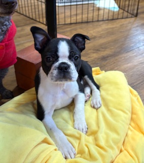 2025年10月１２日生まれ　女の子