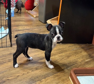 2025年10月12日生まれ　女の子