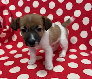 ２０２５年１２月１３日生まれ　女の子