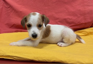 ９月４日生まれ　男の子