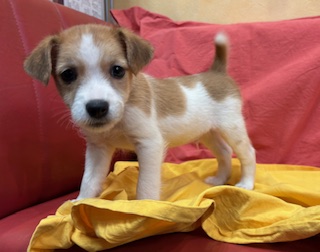 ９月４日生まれ　男の子