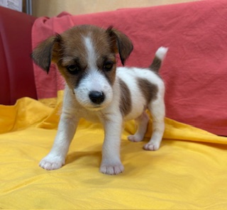 ９月４日生まれ　男の子