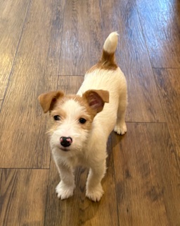 ２０２５年９月４日生まれ　女の子