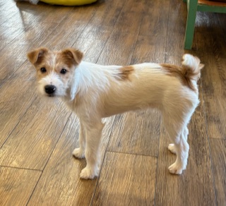 ２０２５年7月22日生まれ　男の子